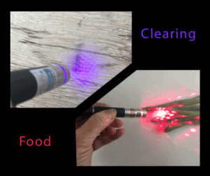 Lasers for food and disinfecting